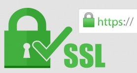 Certificado-SSL-para-um-site-ou-Loja-Virtual7
